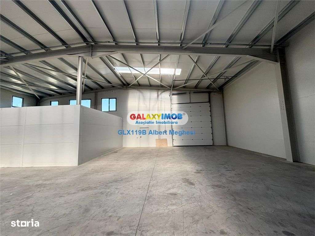 Inchiriere hala depozitare Parc Industrial TBM Rudeni - Imagine principală: 3/18