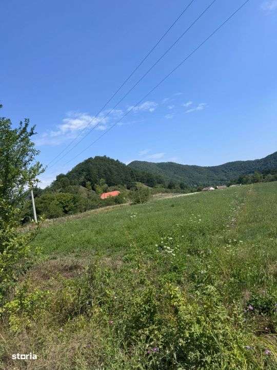 Teren 3600 mp Cheile Nerei – Peisaj de poveste! Oportunitate excelen - Imagine principală: 3/12