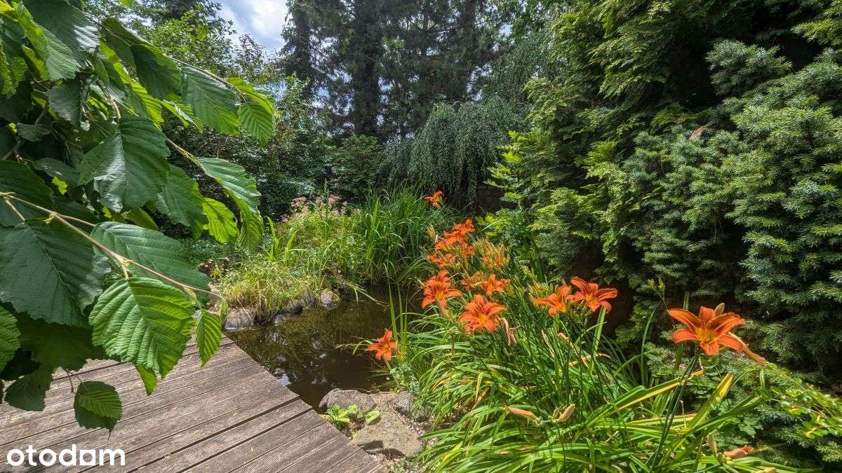 Dom z dużym ogrodem – Gliwice Brzezinka-12