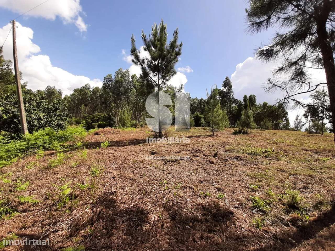 Terreno em Mealhada - Grande imagem: 5/5