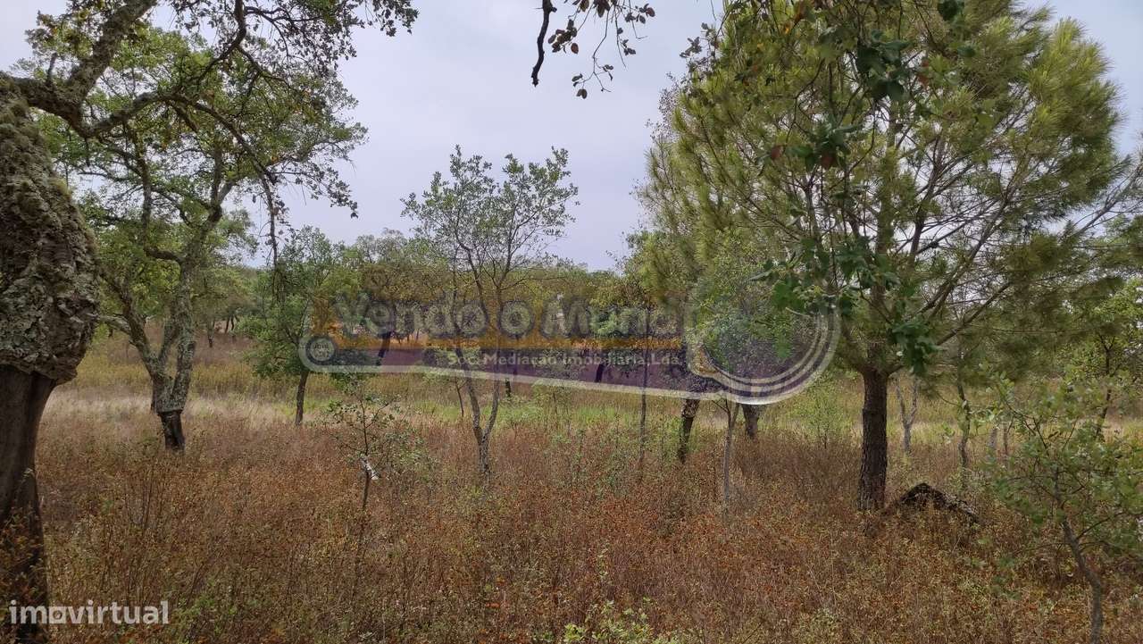 Terreno em Mora (MOR013) - Grande imagem: 5/8