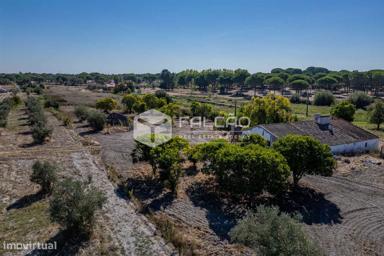 Moradia T3+2 Venda em Grândola e Santa Margarida da Serra,Grândola-36