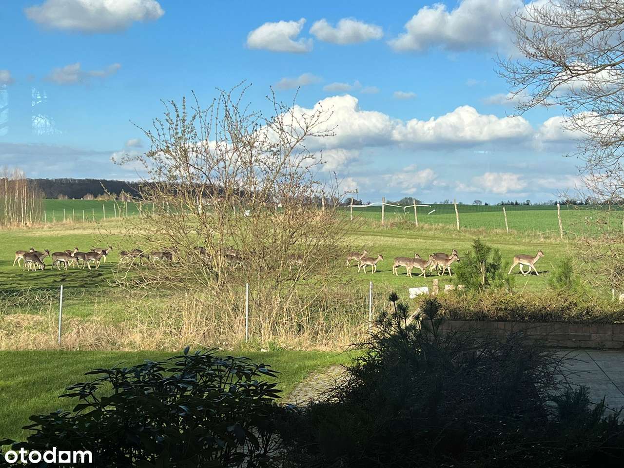 PIĘKNA, UNIKATOWA NA RYNKU POZNAŃSKIM NIERUCHOMOŚĆ-8