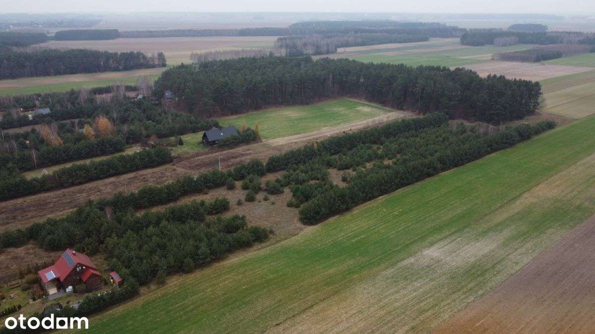 Działka budowlana z lasem-11