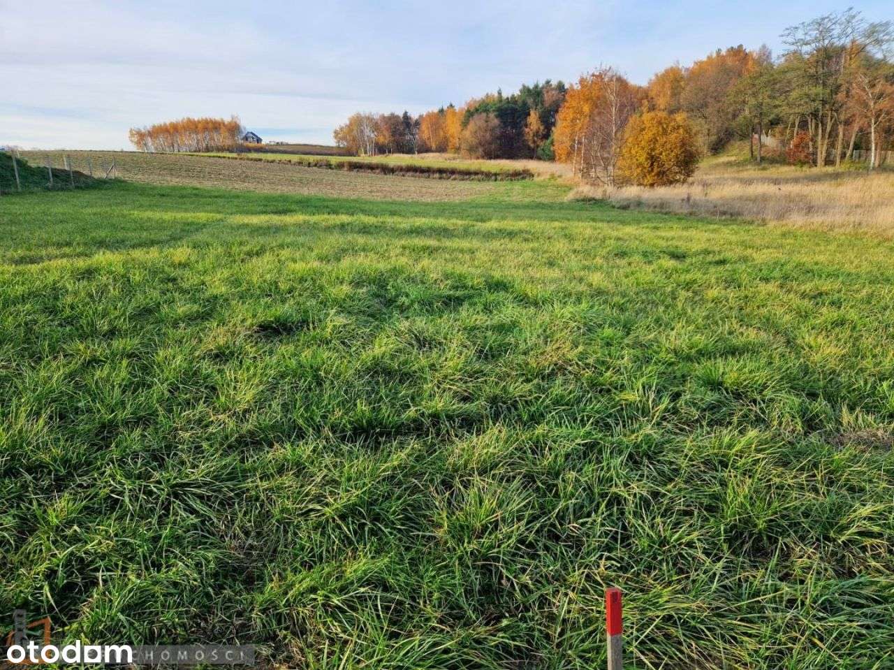 Działka, 1 334 m², Masłomiąca - Pełny obrazek: 4/4