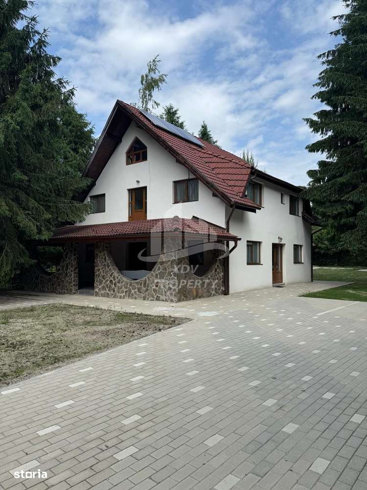 Pensiune/ Vila Valea Avrigului-0