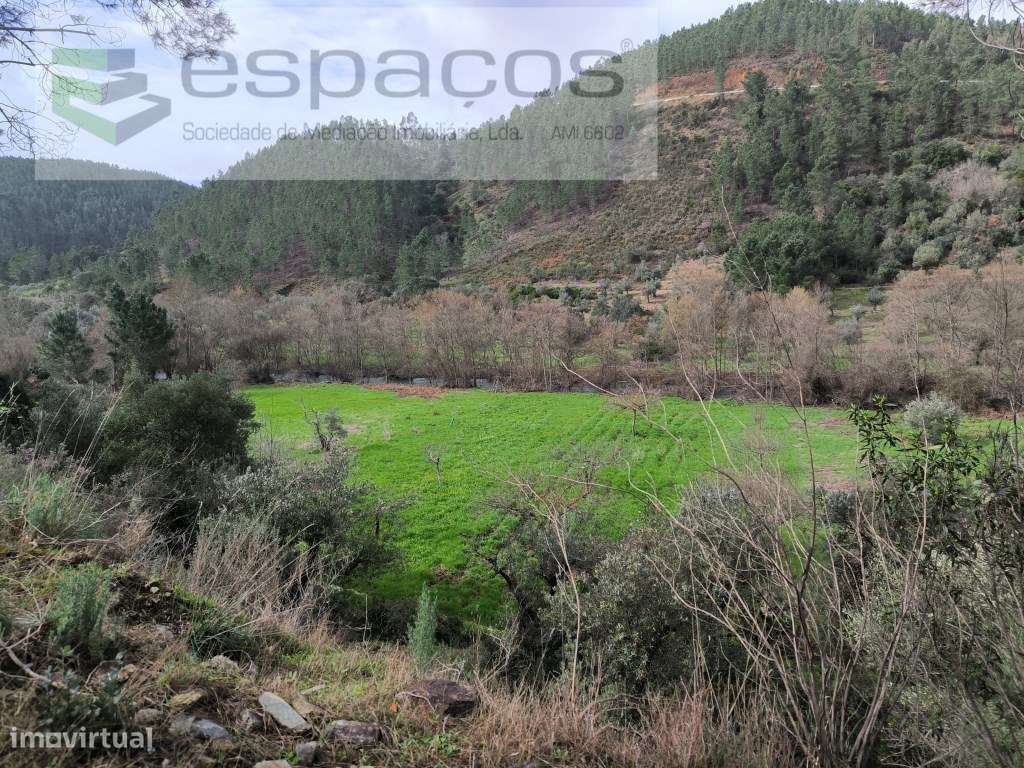 Terrenos a confinar com ribeira - Pomar-12