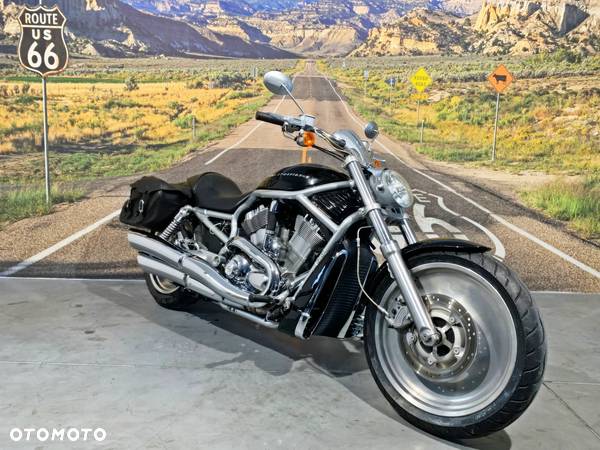 Harley-Davidson Softail V-Rod - 2