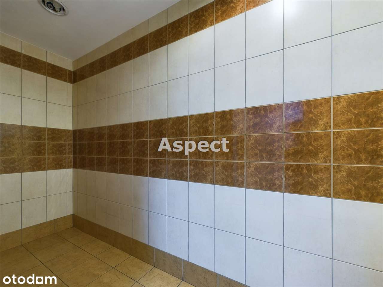 Lokal 200 m² do wynajęcia – Andrzejewo! - Pełny obrazek: 5/12