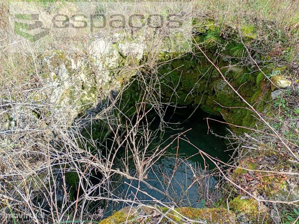 Terreno Rústico a 15 minutos de Castelo Branco-8
