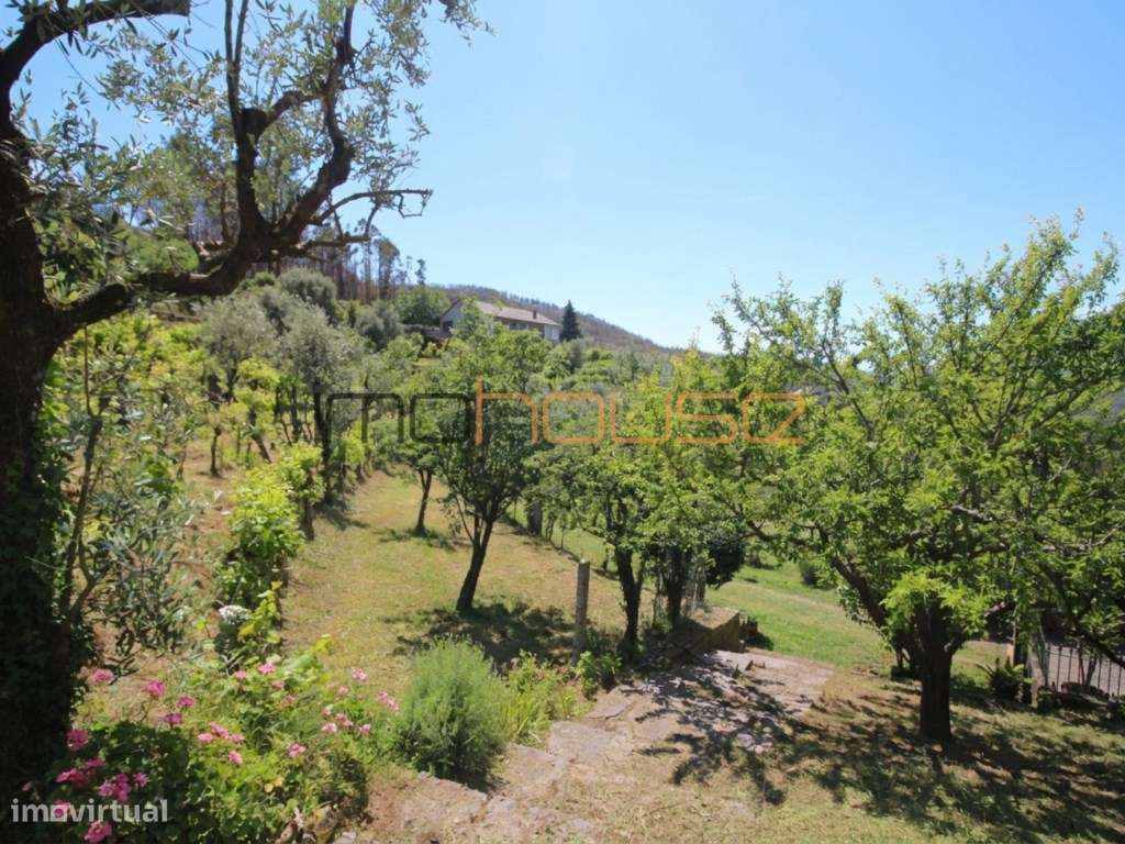 Quinta agrícola - 45 minutos do Porto-45
