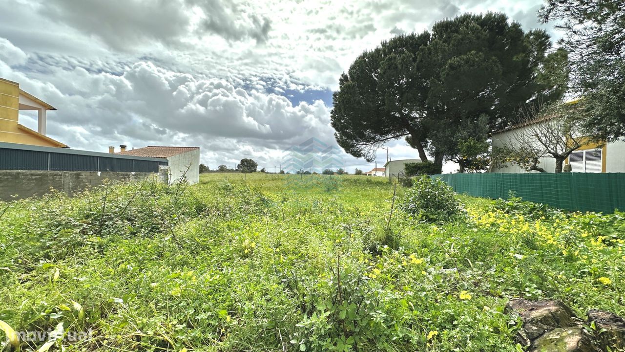 Terreno urbano para construção de moradia em Montalvo - Constância