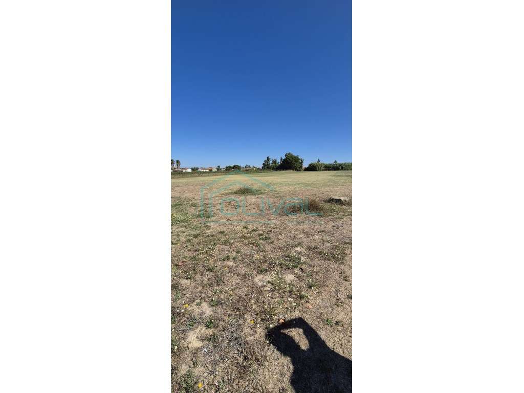 Terreno Para Construção de Moradias - Grande imagem: 4/5