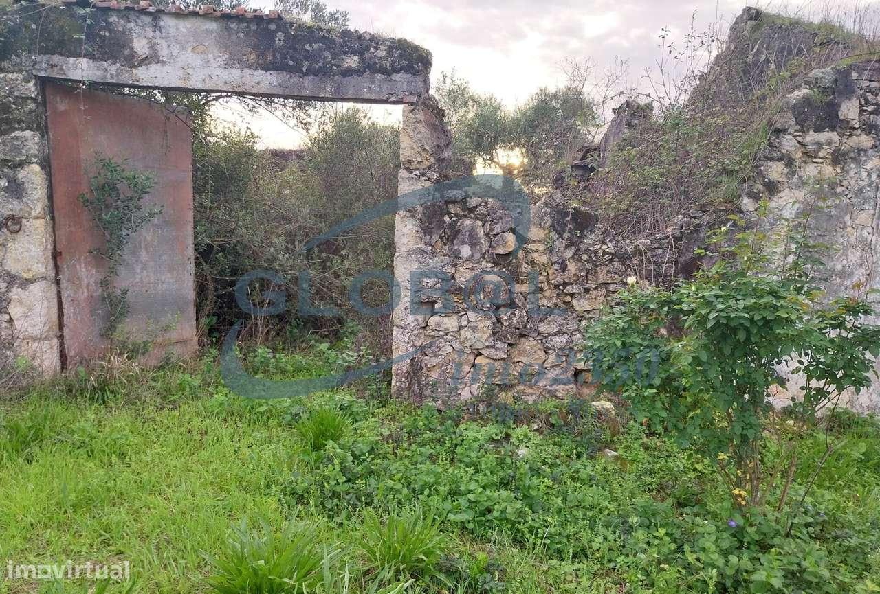 Terreno com Ruína - Grande imagem: 5/6
