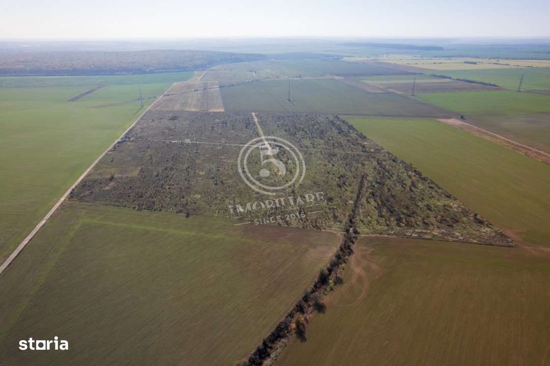 Ocazie- Teren Intravilan de Vanzare- Peris Snagov- Doar 10 euro/mp-6