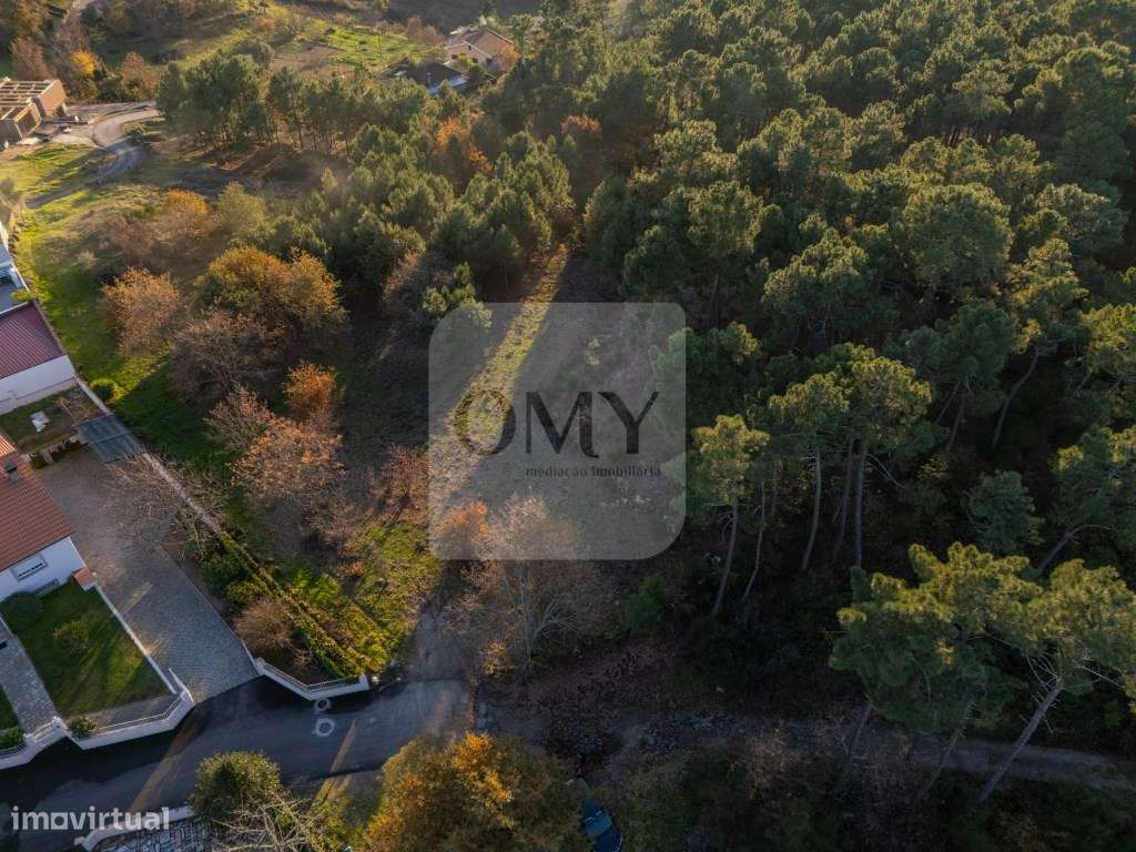 Terreno de 6.750 m2 em Adoufe, Vila Real - Grande imagem: 5/15