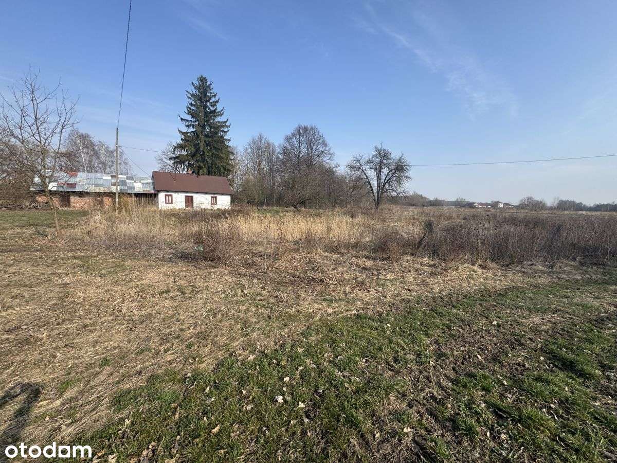 Działka 1,30 ha z domem drewnianym i zabudowaniami gospodarczymi!