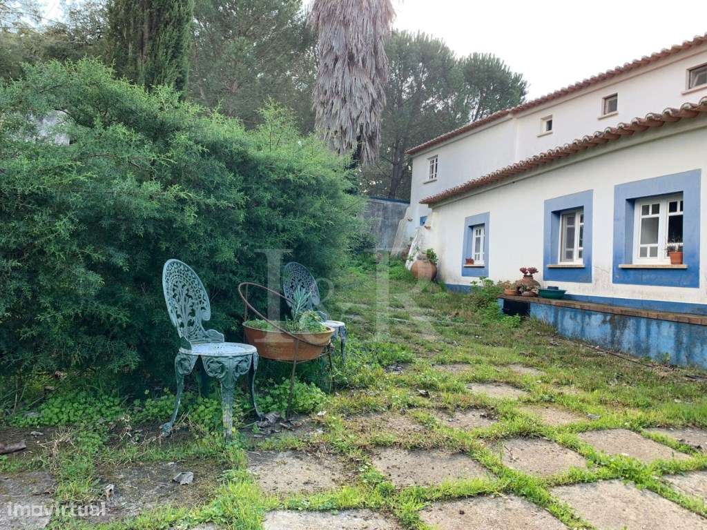 Monte alentejano com moradia T10 e piscina em Montemor-o-Novo, Évora-53