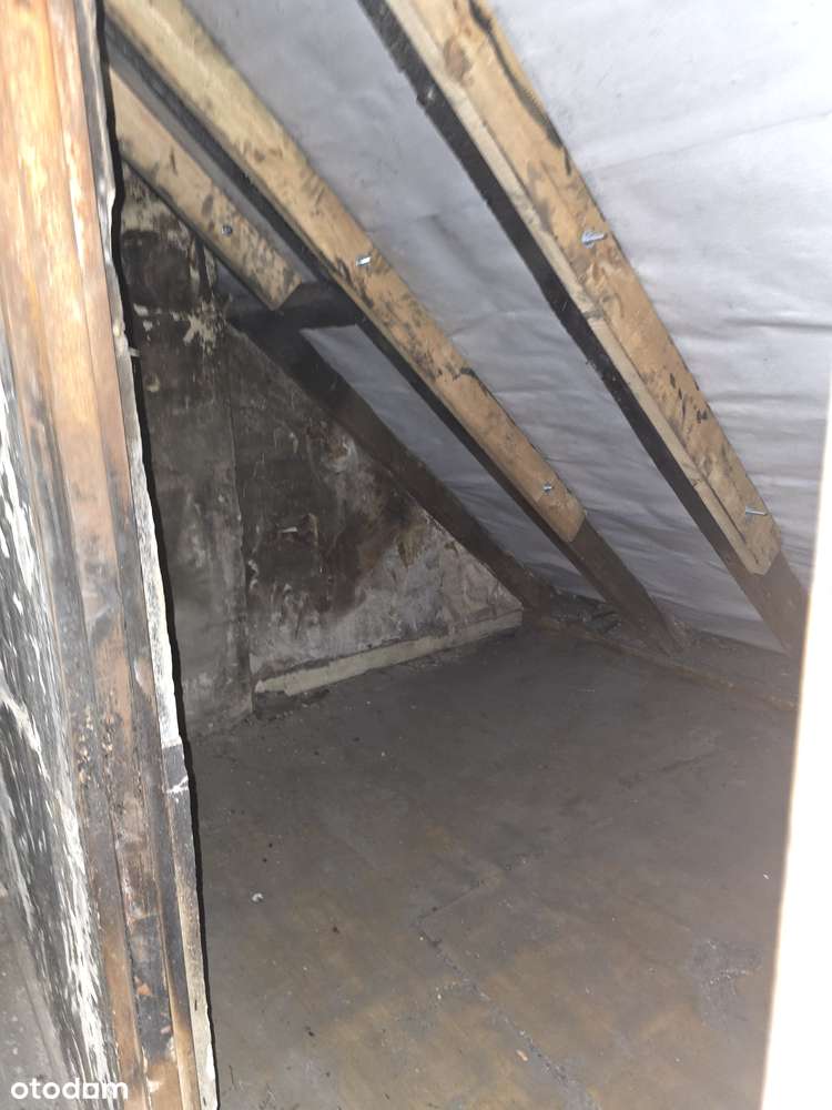 Mieszkanie PO POŻARZE - do remontu, możliwość 3 pokoi! - REZERWACJA - Pełny obrazek: 4/9