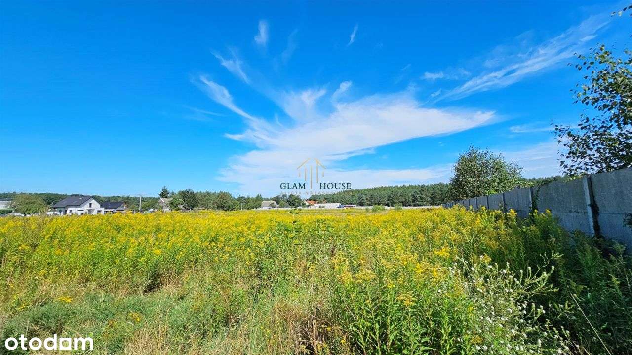 Blisko Lasu Piękna Działka W Wałdowie Królewskim - Pełny obrazek: 4/6