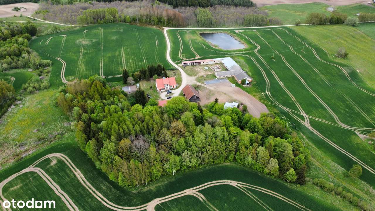 Klimatyczne siedlisko na mazurach ze stawem - Pełny obrazek: 4/20