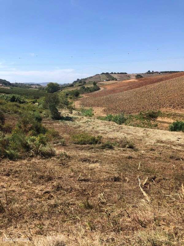 Terreno  para venda - Grande imagem: 5/13