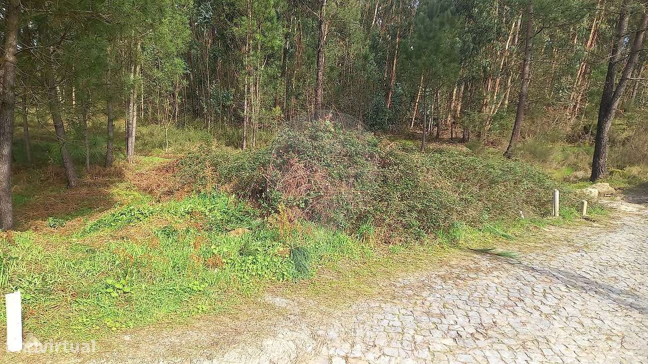 Terreno  para venda - Grande imagem: 4/4