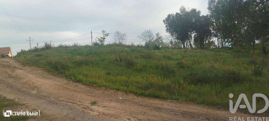 Terreno para construção em Santo isidoro e livração de 4200,00 m2 - Grande imagem: 5/30