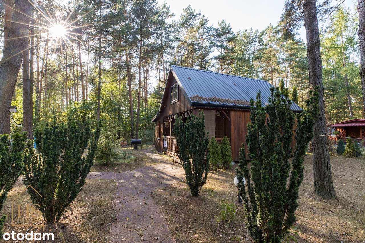 Urokliwa działka ROD "SOSENKA"  – idealne miejsce na rodzinne wypady!-6