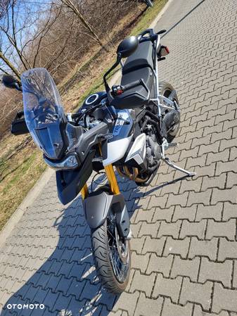 Triumph Tiger - 4