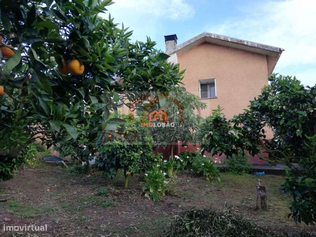 QUINTINHA - CANEDO - Grande imagem: 3/19