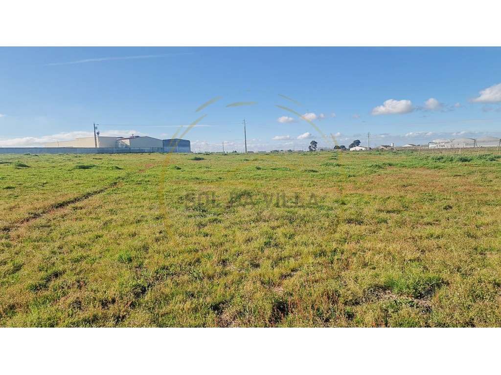 Terreno Sarilhos Grandes - Montijo - 159.900€-3