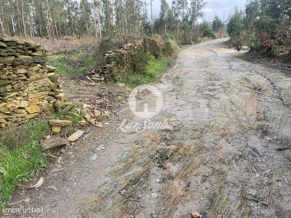 Terreno Florestal 14.500m2, Balazar - Póvoa de Varzim - Grande imagem: 3/20