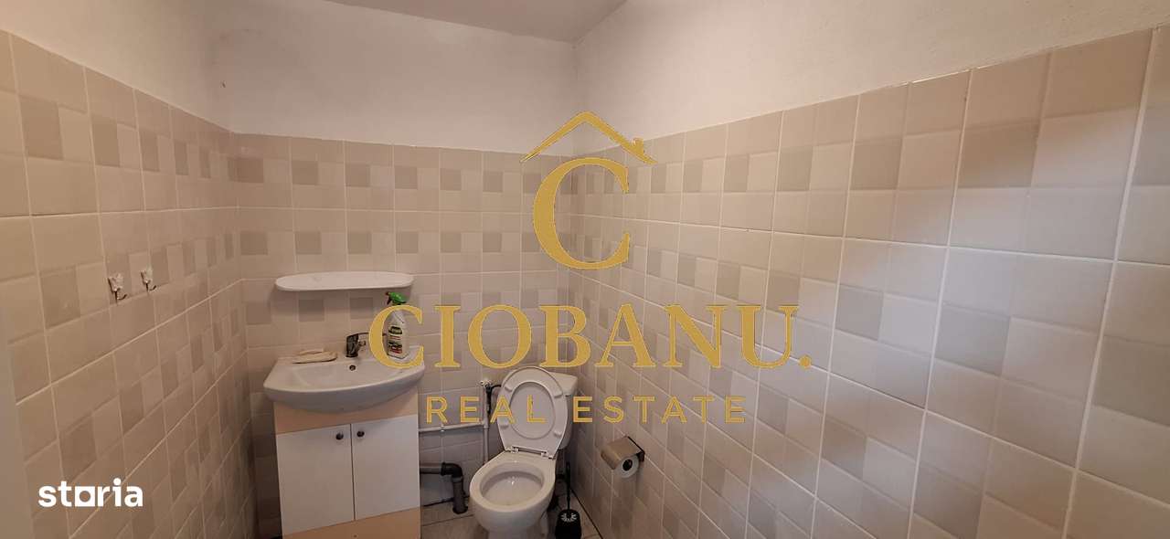 Hala de vanzare in Racarii de Jos-6