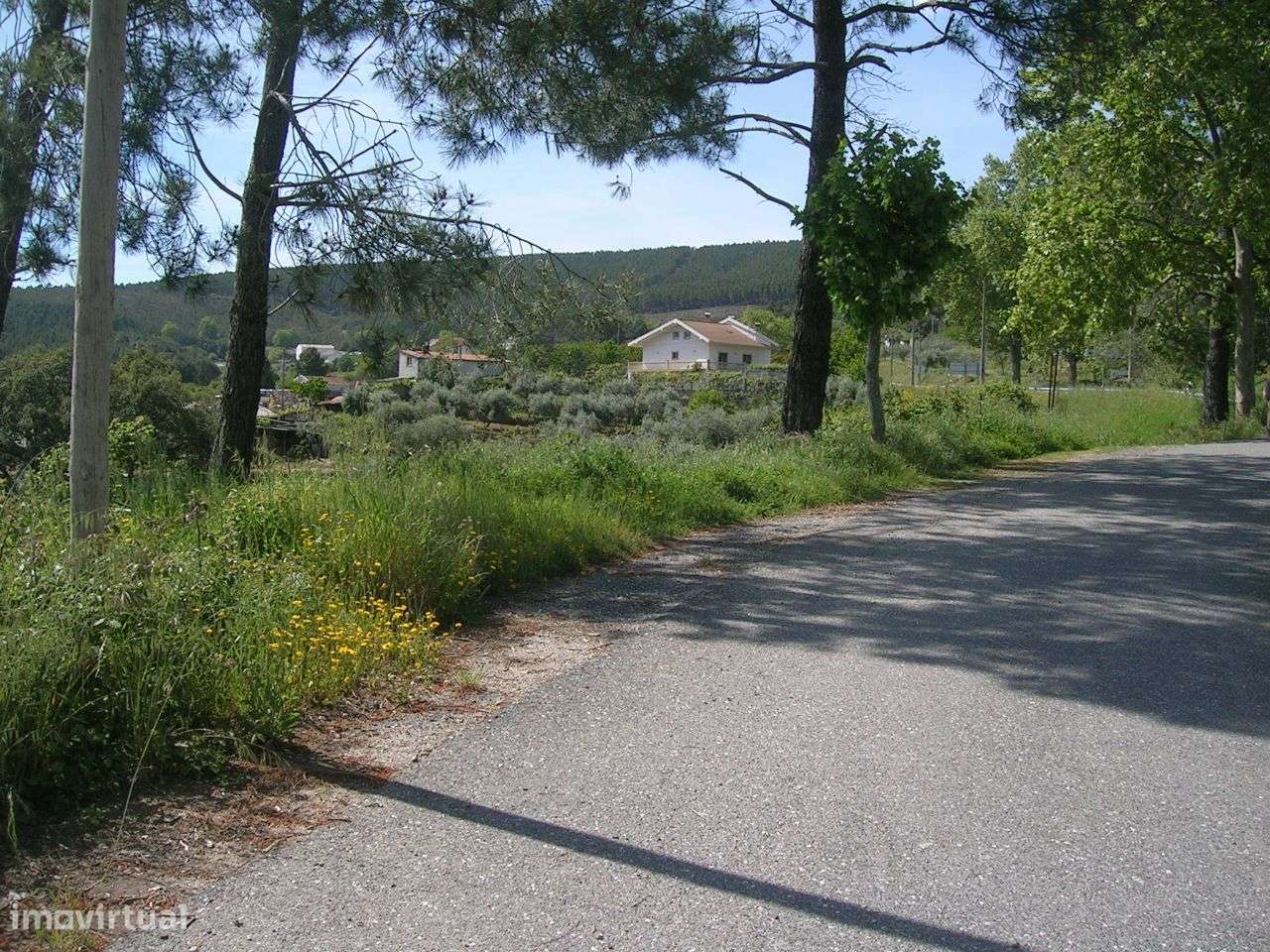 Terreno para a minha vivenda-1