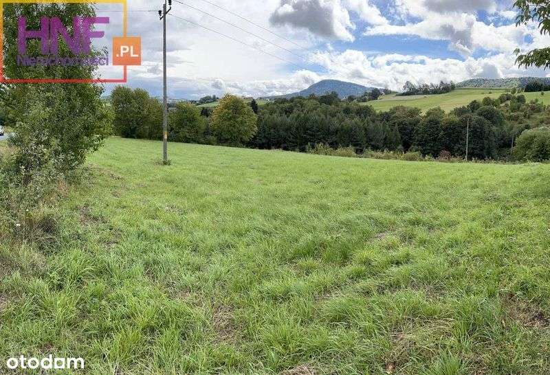 Działka budowlana 26,04ar w Mogilnie - Pełny obrazek: 4/6