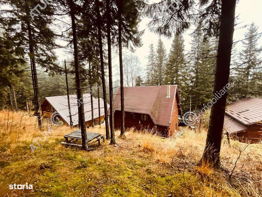 Casa de vacanta\/Cabana cu 8 camere de vanzare in Paltinis - Imagine principală: 3/16
