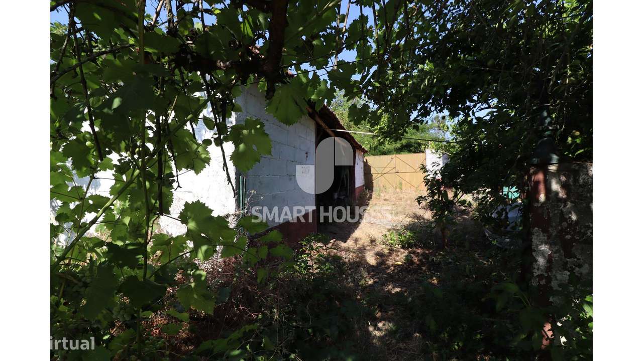 Moradia T2 Couto do Mosteiro c/ terreno-24