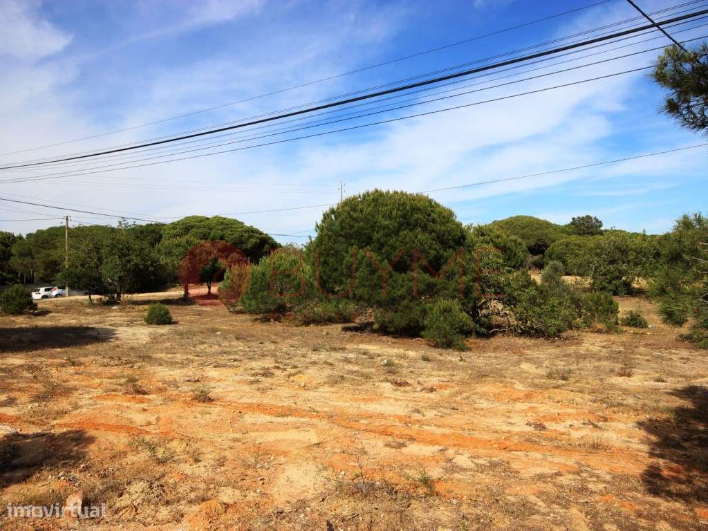 Terreno rústico de 5.200m² em Vale Verde, Almancil - Grande imagem: 3/6