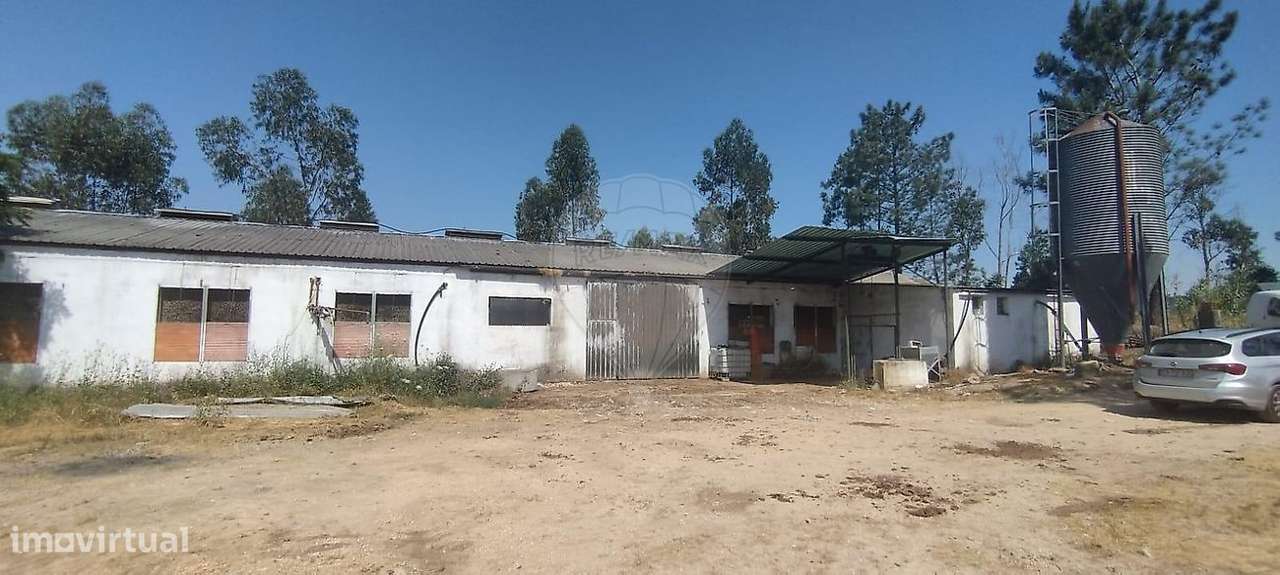 Armazém  para venda - Grande imagem: 2/16