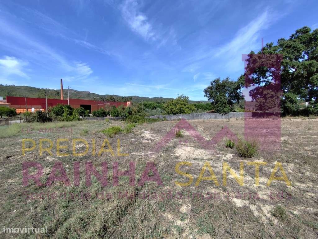 Moradia isolada T4 renovada com 4800 m² de terreno em Amiais de Cim...-3