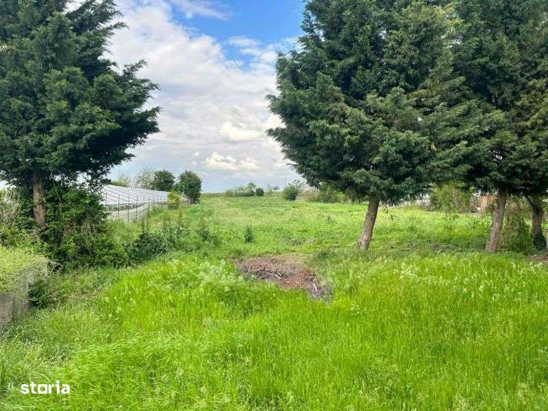 CASA 152 mp + TEREN 8150 mp -  BRAGADIRU ~ TELEORMAN - Imagine principală: 4/17