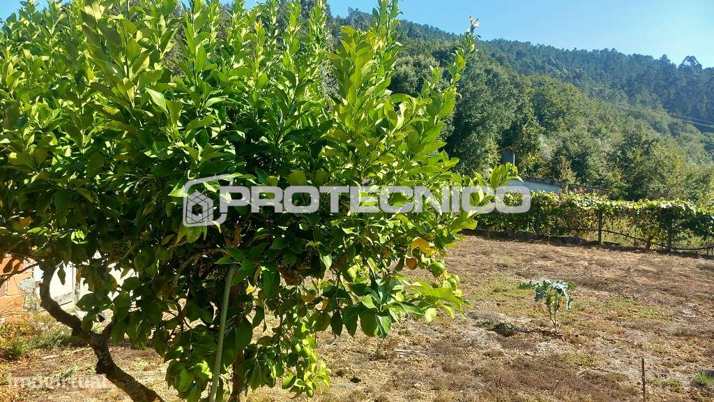 Moradia T4 Isolada – Destriz-15