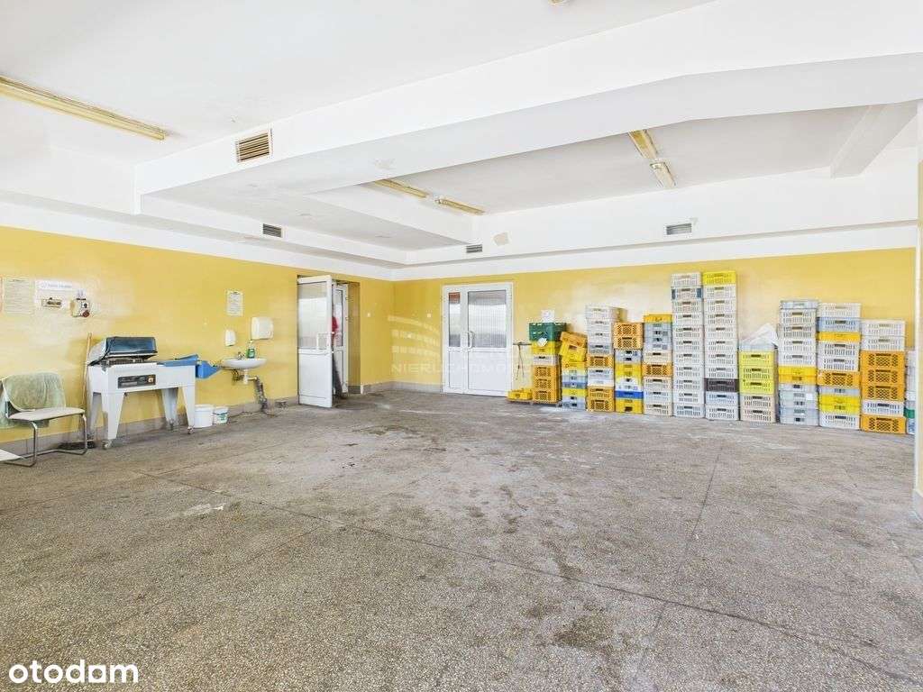Nowa niższa cena! Sala produkcyjna, magazyn!! - Pełny obrazek: 4/17