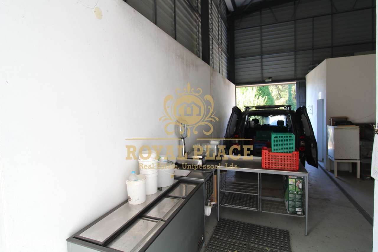 Quinta com armazém em Ossela, Oliveira de Azeméis-40