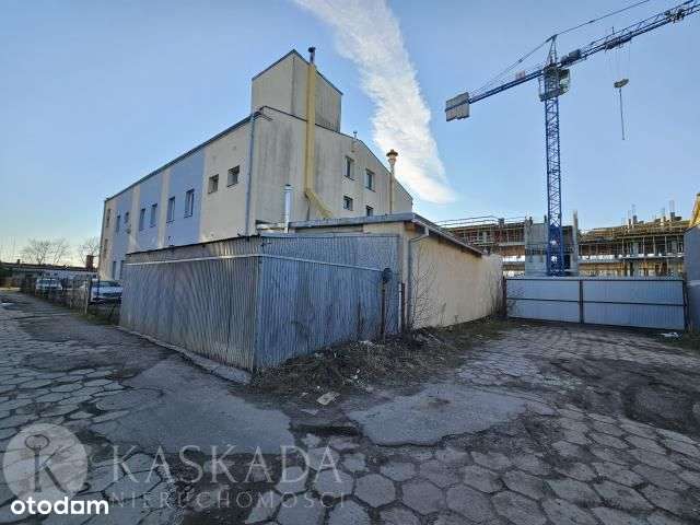 Lokal użytkowy, 1 664 m², Piotrków Trybunalski-5