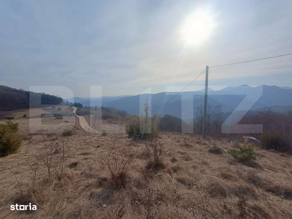 Teren extravilan, 12000 mp, curent com. Ramet - Imagine principală: 4/7