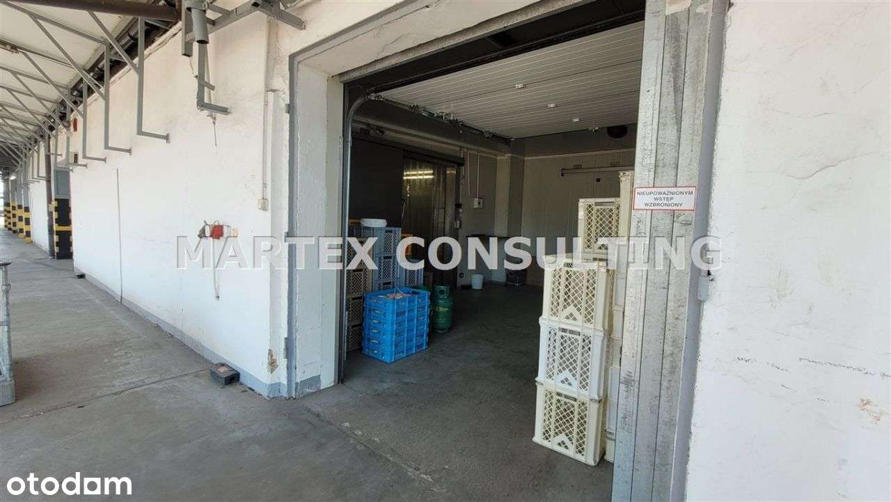 Hala/Magazyn, 895 m², Wodzisław Śląski - Pełny obrazek: 5/6