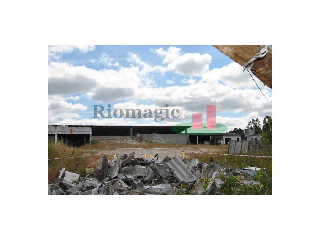 Terreno, com Viabilidade de Construção - Rio Maior - Grande imagem: 3/35