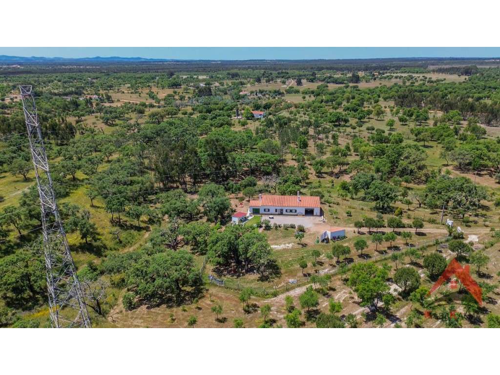 Herdade do Barranco-11